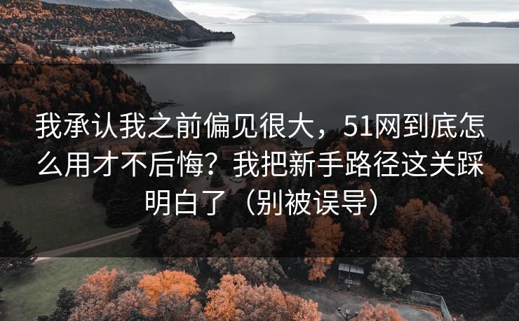我承认我之前偏见很大，51网到底怎么用才不后悔？我把新手路径这关踩明白了（别被误导）